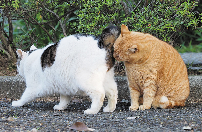 【画像】セクシー♡お尻の・・・